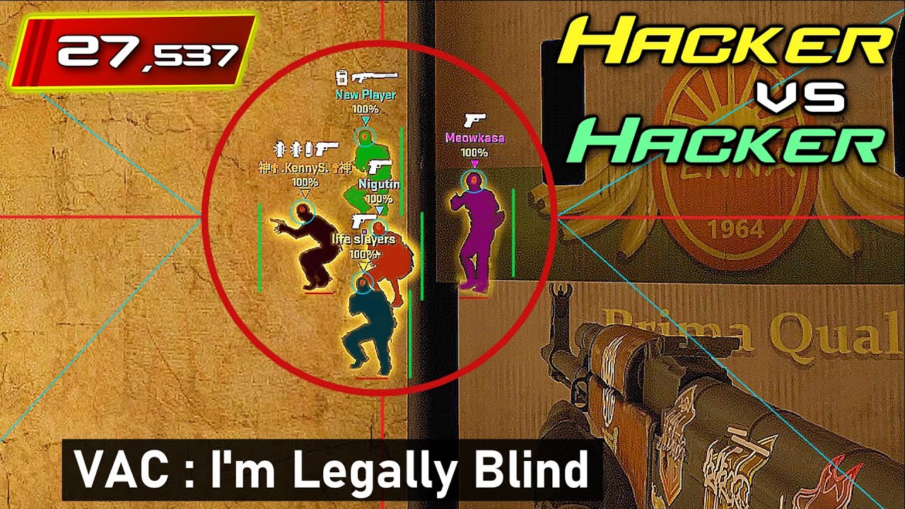 CS2 VAC is a Joke