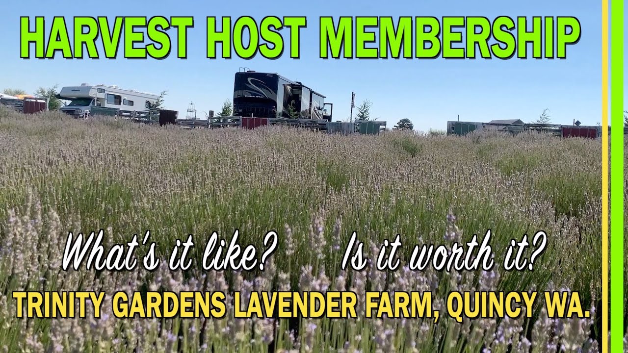 HARVEST HOST MEMBERSHIP | WHAT'S IT LIKE? | RV LIFE | TRINITY GARDENS LAVENDER FARM QUINCY WA -EP184