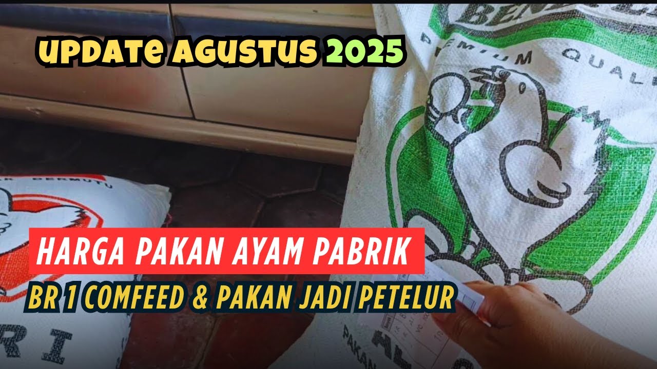 UPDATE Harga Pakan Ayam Petelur dan BR 1 Pabrikan Comfeed