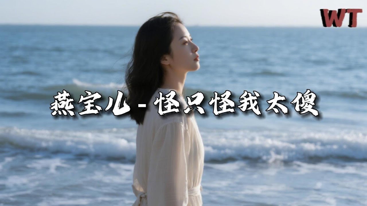 燕宝儿 - 怪只怪我太傻『你的句句情话 全都变了卦，我的道道伤疤 你不看一下。』【动态歌词MV】