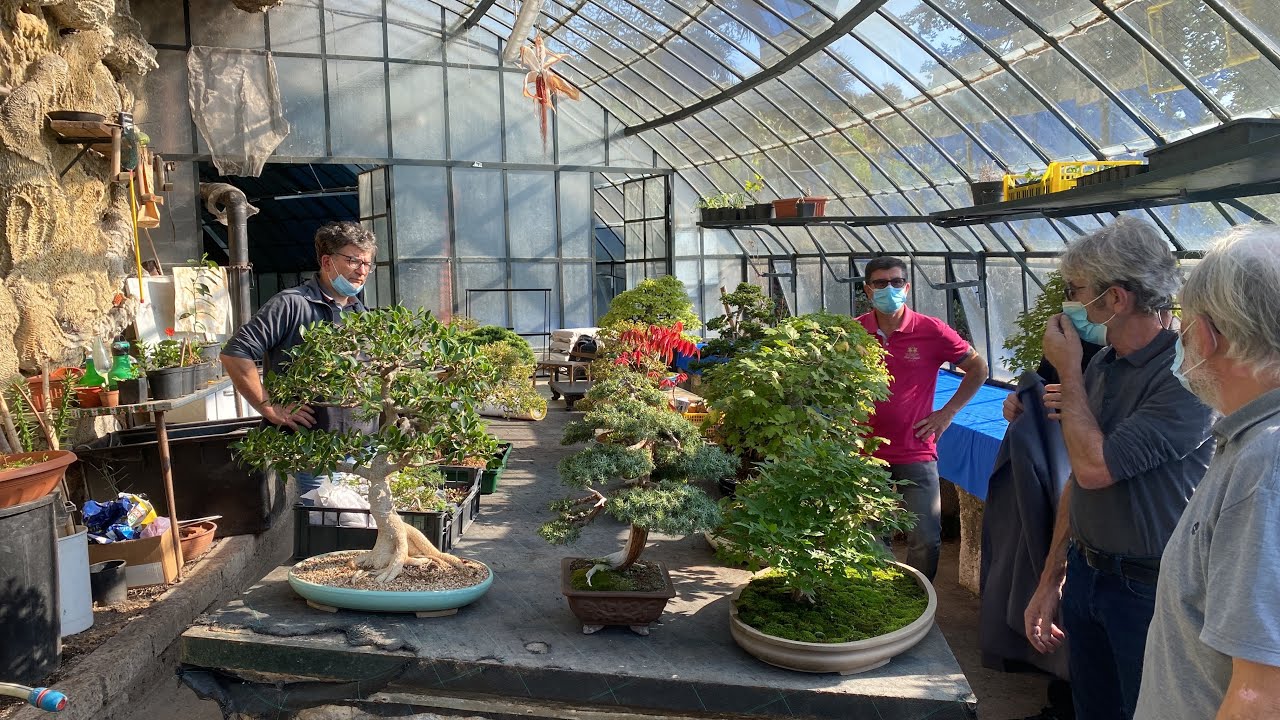#3 #mostra #bonsai a villa bertarelli!