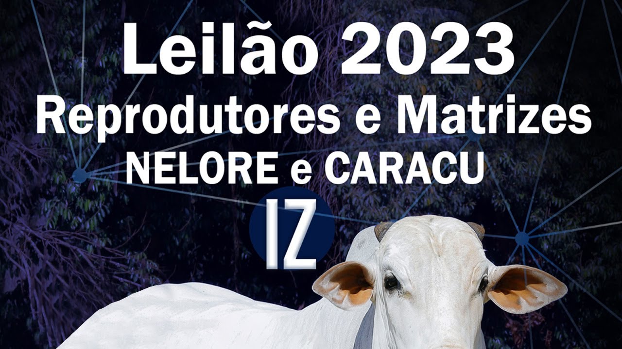 LEIL&Atilde;O IZ 2023 REPRODUTORES E MATRIZES NELORE E CARACU