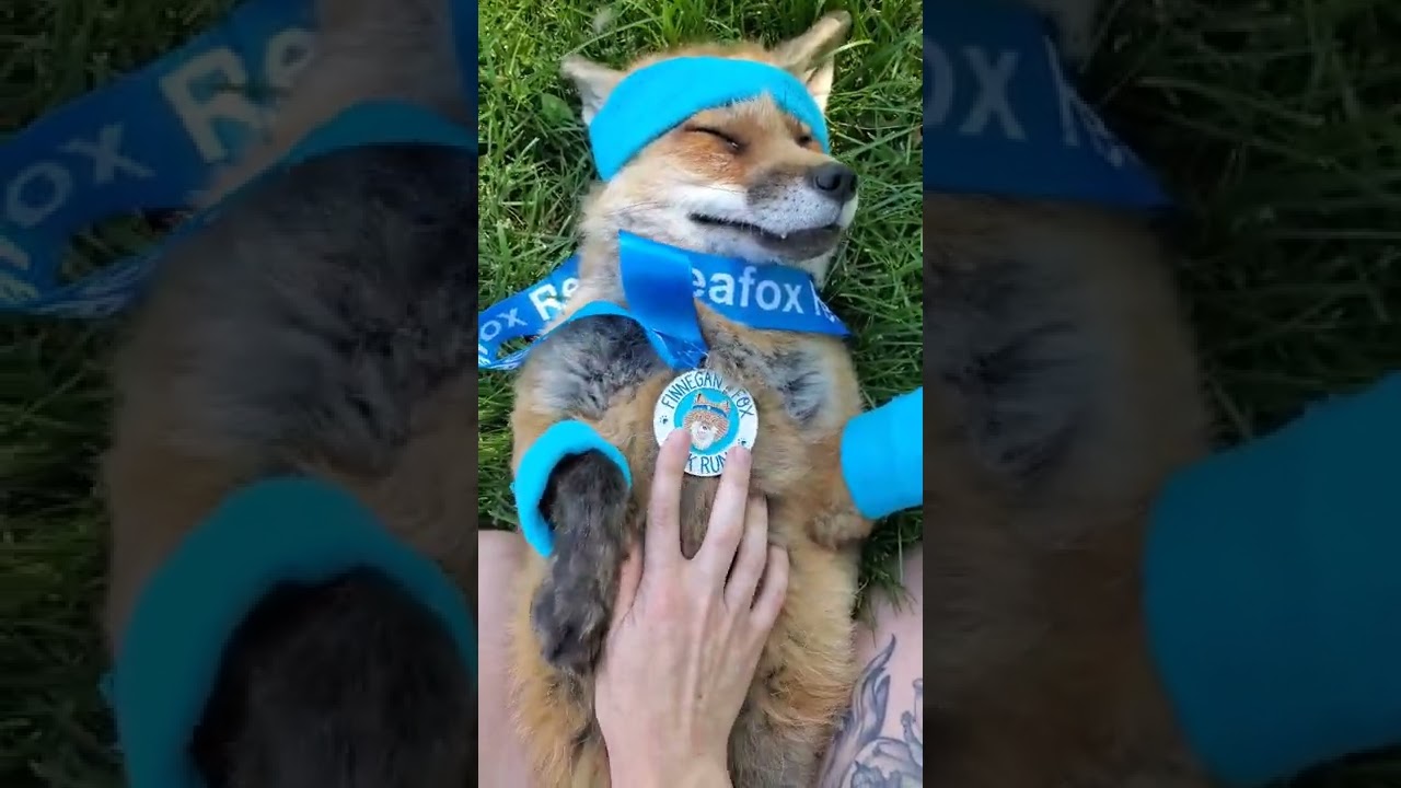Finnegan fox 5k passout