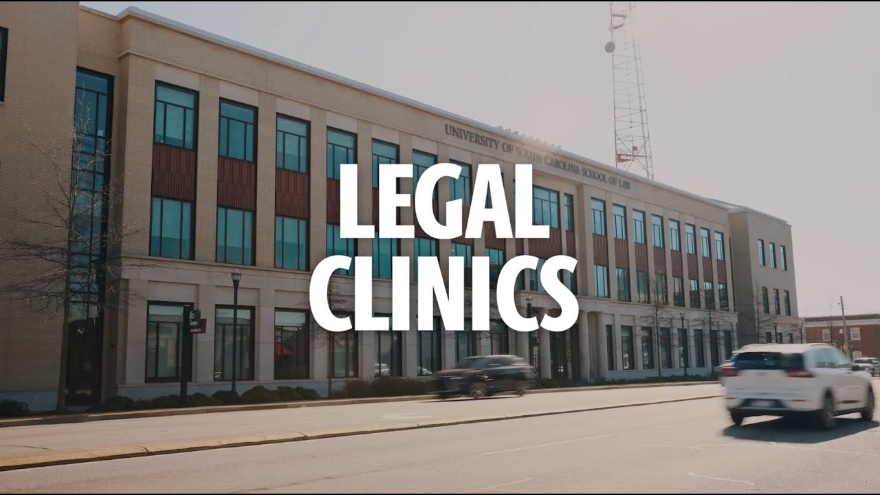 Legal Clinics Overview