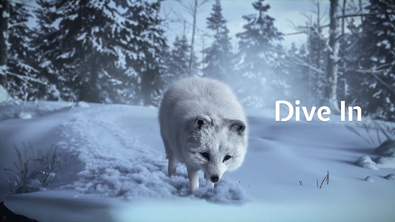 Arctic Fox presents Dive In