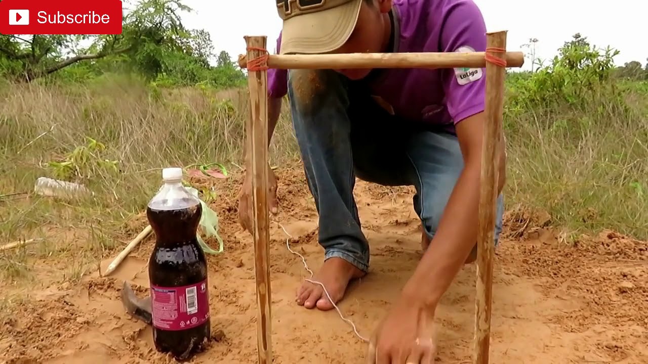 DIY Porcupine Trap using 1.5L Fanta - You know about How to Make  Porcupine Trap Using 1.5L Fanta