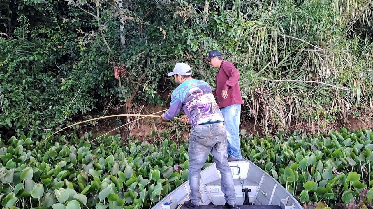 EU NUNCA VI PEGAR TANTO PEIXE EM UM LUGAR SÓ. /PESCARIA DE TRAÍRA COM VARA DE BAMBU/PESCARIA RAIZ.