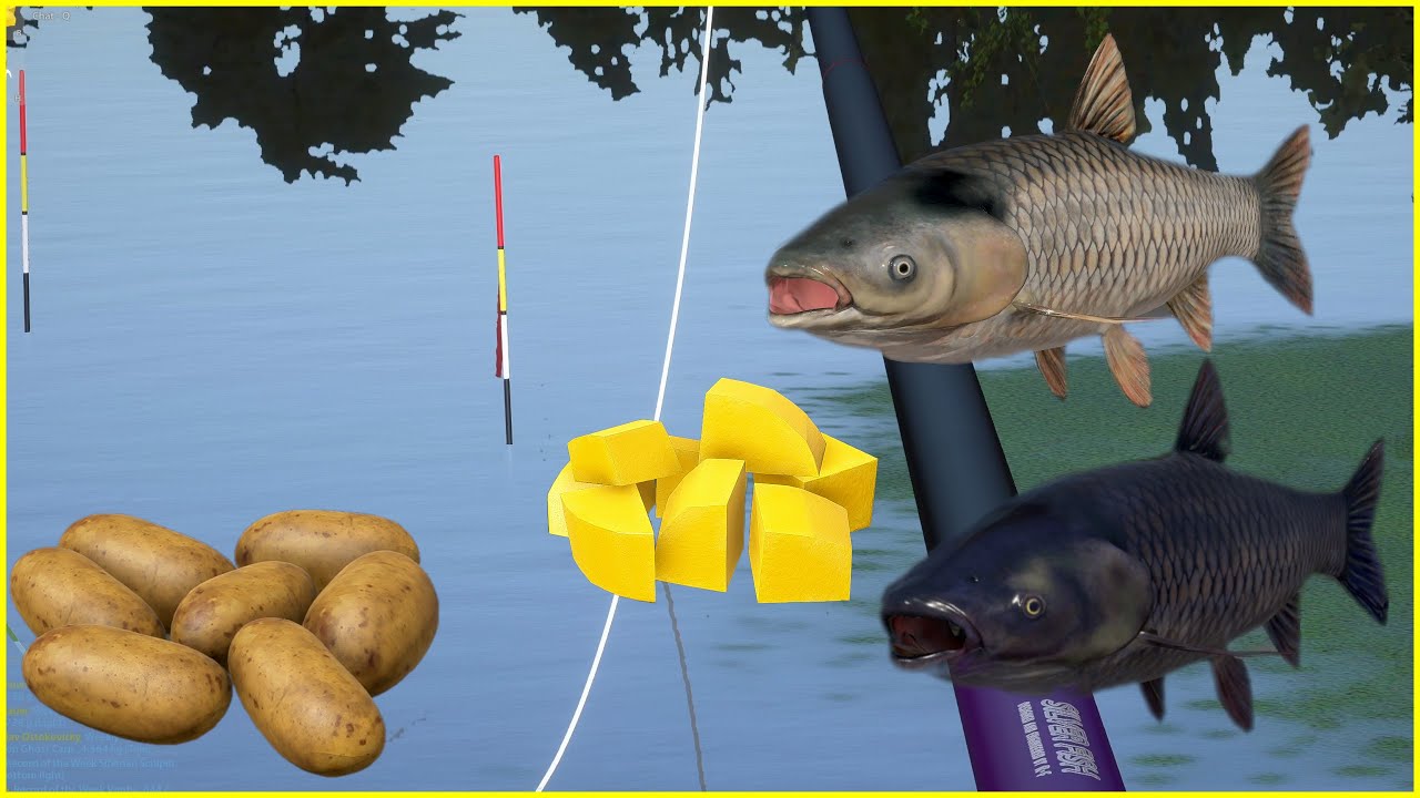 2 Carp spots  Float Old Burg | Russian Fishing 4  #425