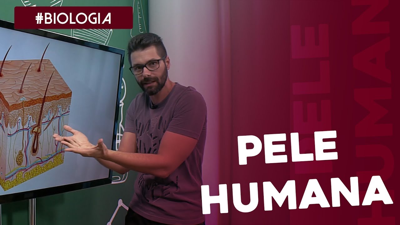 Biologia: a pele humana por Samuel Cunha
