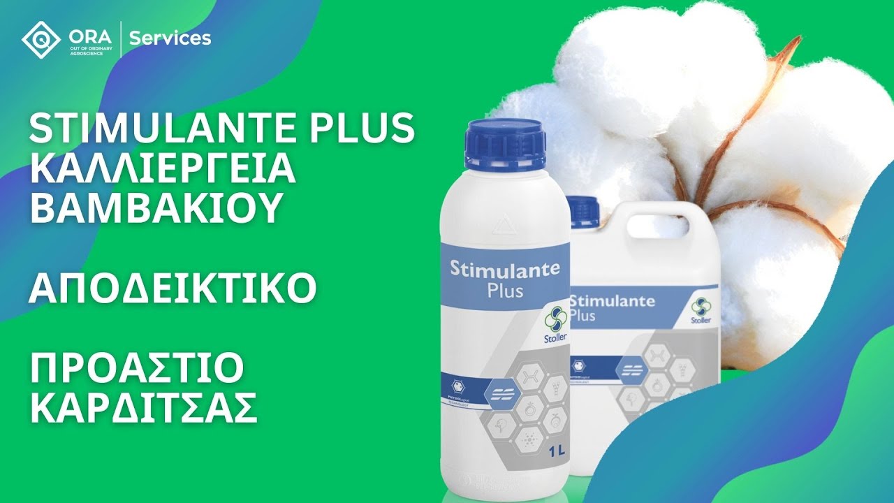 STIMULANTE PLUS  & &pi;&rho;ώ&iota;&mu;&omicron; &beta;&alpha;&mu;&beta;ά&kappa;&iota; &sigma;&tau;&omicron; &Pi;&Rho;&Omicron;&Alpha;&Sigma;&Tau;&Iota;&Omicron; &Kappa;&alpha;&rho;&delta;ί&tau;&sigma;&alpha;&sigmaf;