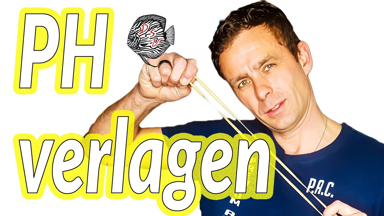 PH verlagen / PH en KH / PH crash : meest BEGRIJPBARE video OOIT | Aquarium Sunshine Valley