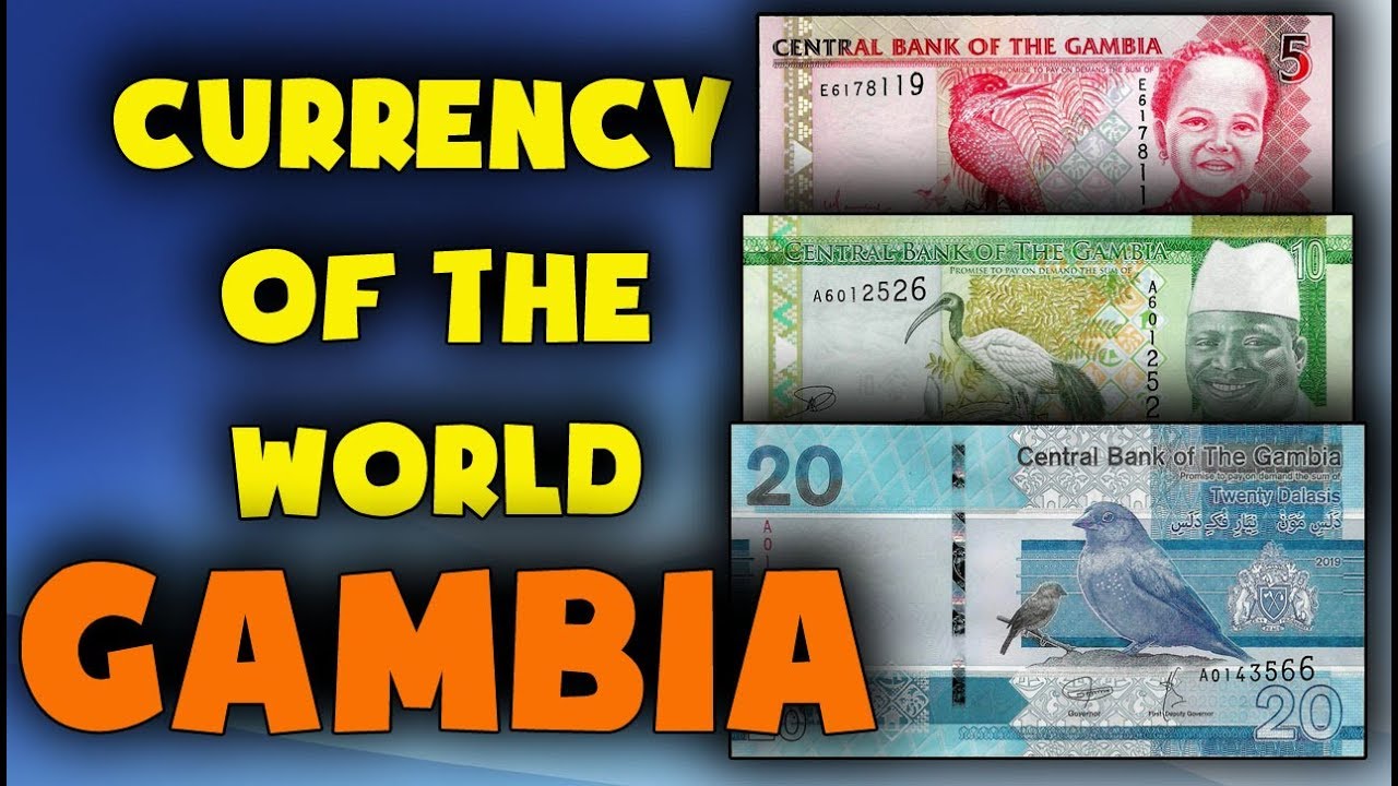 Currency of the world - Gambia. Gambian dalasi. Exchange rates Gambia. Gambian banknotes