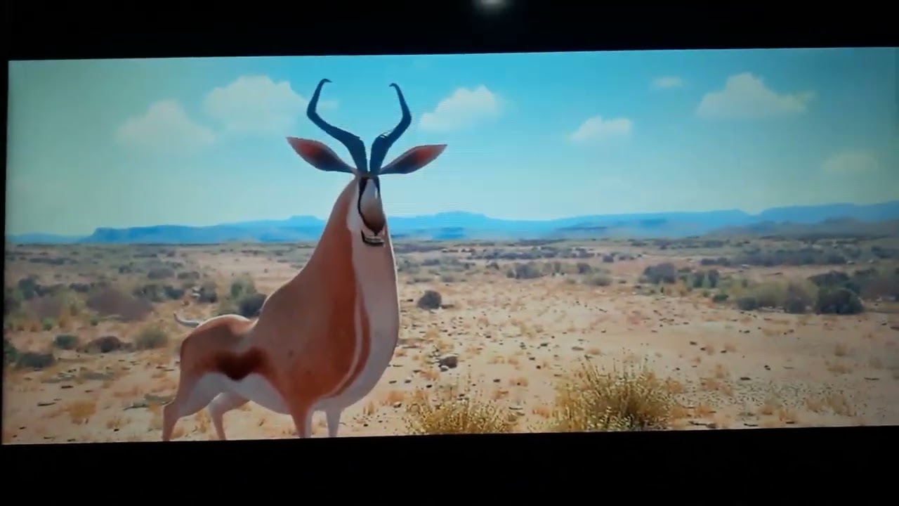 KHUMBA: springbok screen time.🦓🐃🐆🦌
