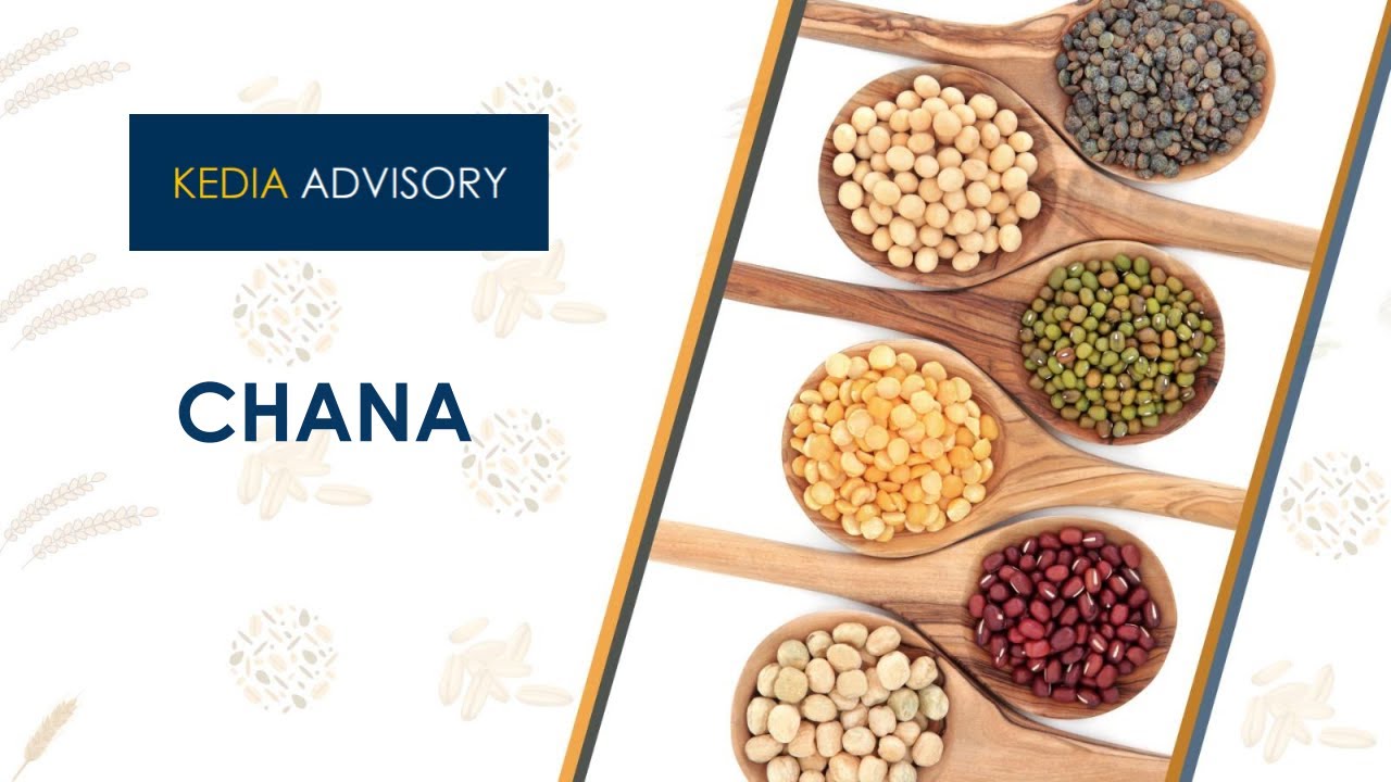 Kya Chana 5300 Tak Girega? 📊 Full Report + Expert Outlook!