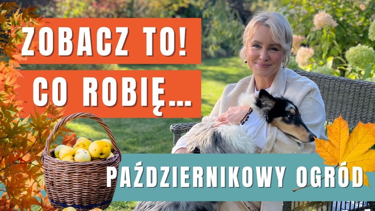 M&Oacute;J JESIENNY OGR&Oacute;D - zobacz to! Za co kocham październik. GREEN CANOE