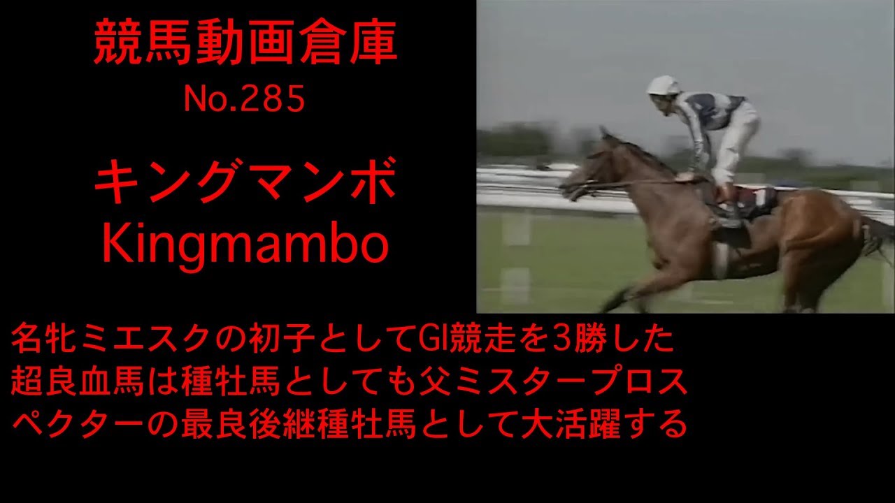 【競馬】キングマンボ　Kingmambo【No 285】