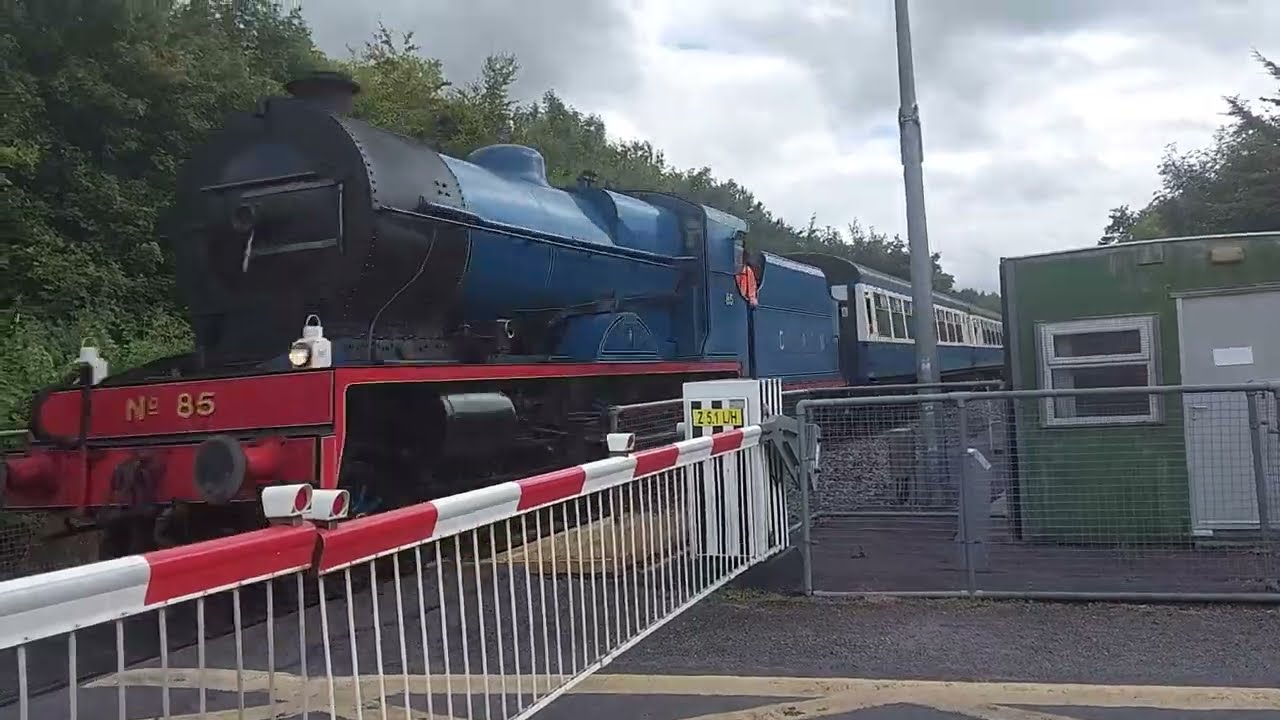 Steam loco No 85 Merlin passes Ballinacarrig level crossing on Marble City rail tour