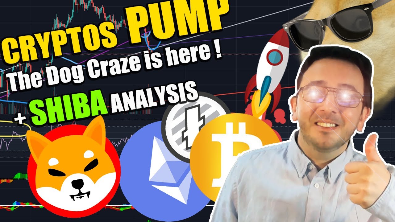 Cryptos PUMP + SHIBA analysis - SHIBA INU price prediction - TODAY - SHIBA coin SHIBUSDT
