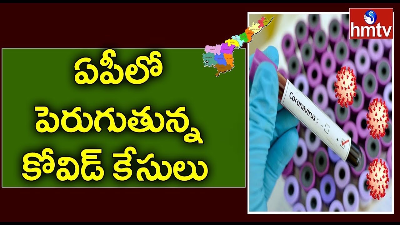 48 New Covid-19 Cases Reported in AP Today | hmtv
