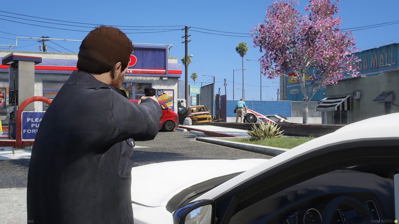 I am the police in GTARP? No really I am asking you. Yeah you. -  Recording Server Stream | GTARP