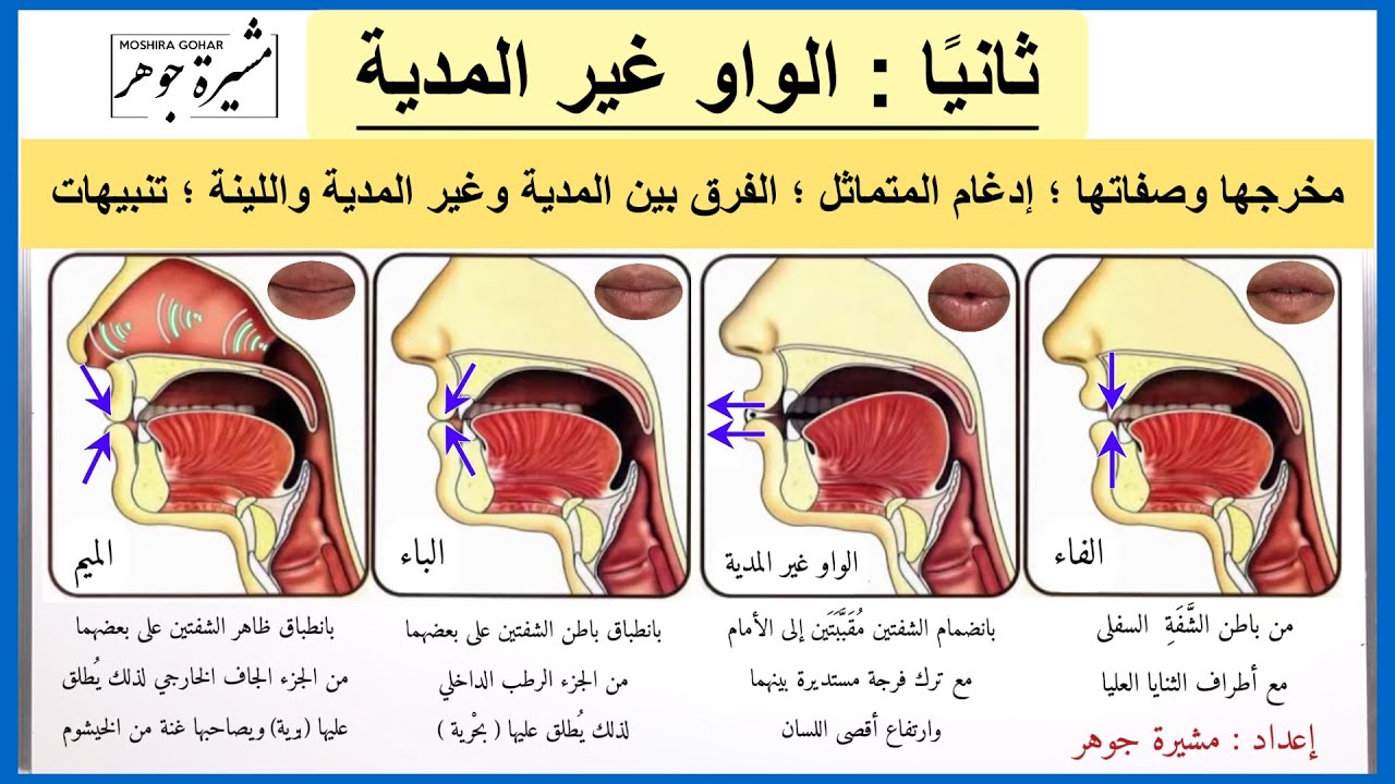 📣(٤٥) الواو غير المدية ؛ هل تدغم؟ وما الفرق بينها وبين الواو المدية ؟ وما الفرق بين المدية واللينة ؟