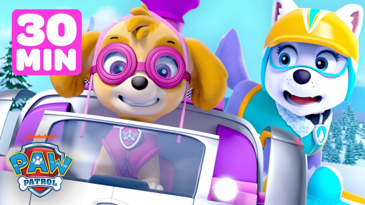 PAW Patrol Skye Winter Rescues! ❄️ w/ Everest | 30 Minutes | Shimmer and Shine
