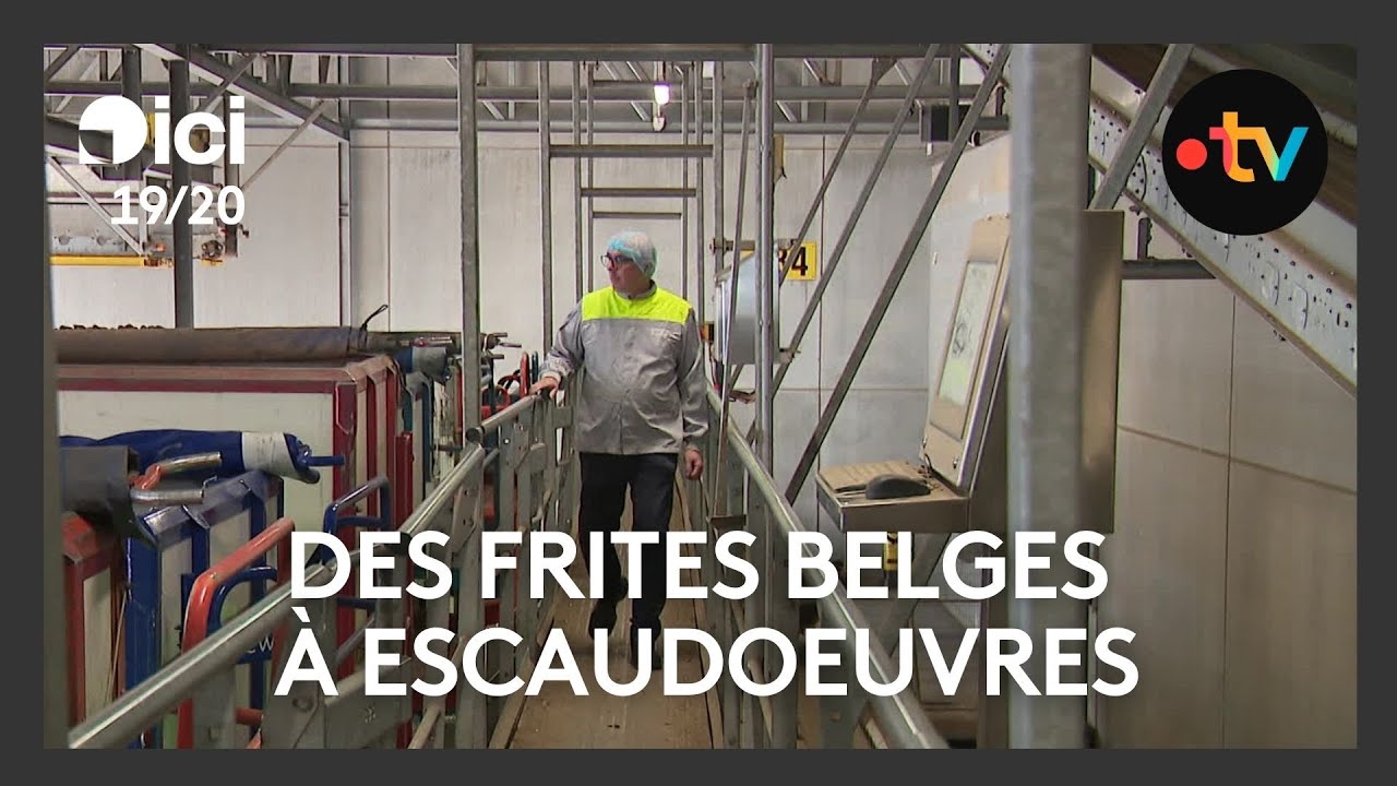 La sucrerie Tereos d'Escaudœuvres, future usine de frites : comment va fonctionner l'usine ?