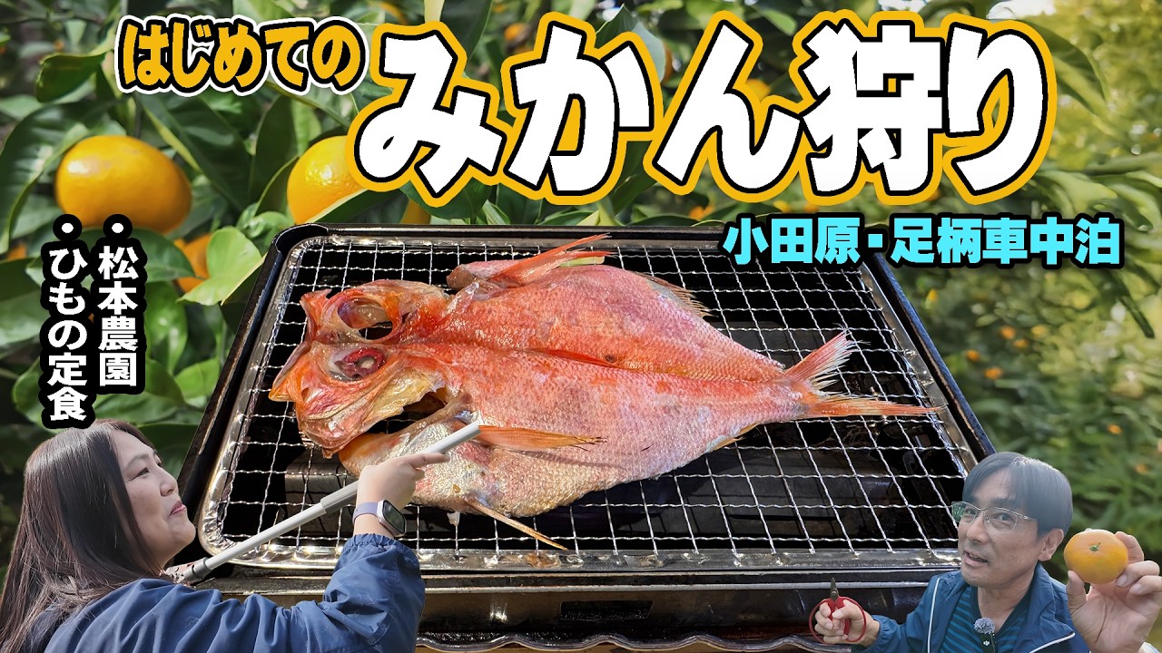 【小田原】3わんことみかん狩り？海沿いで出会った「絶品お魚」にアラフィフ夫婦の箸が止まらない！