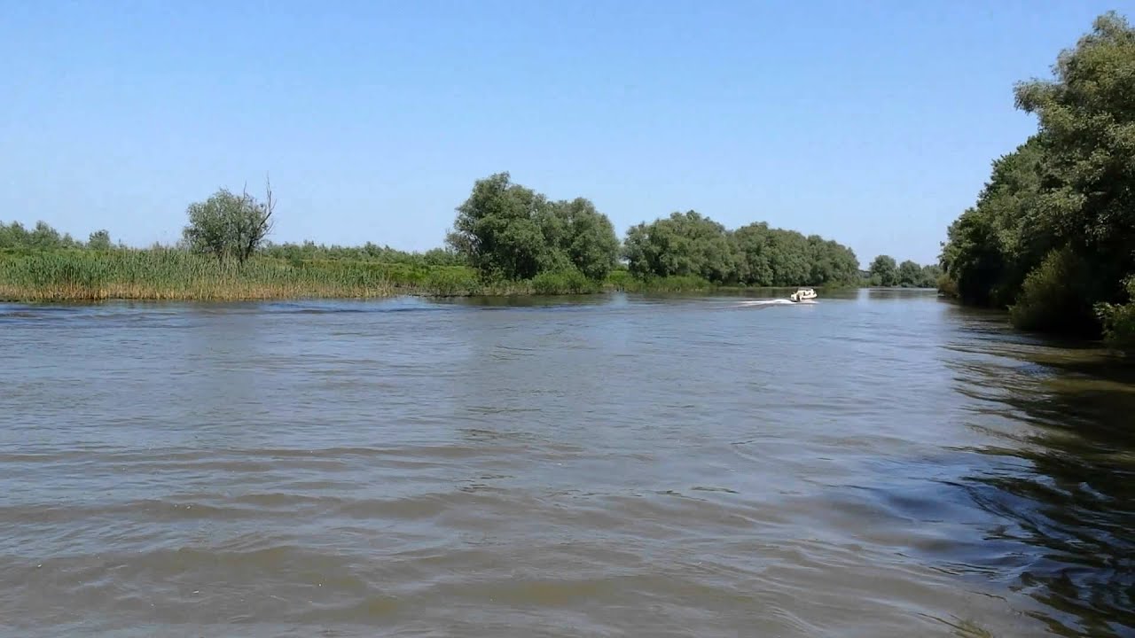 Gobbi 499 with 50 hp yamaha 4stroke.