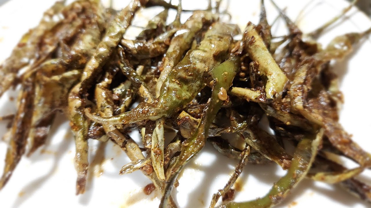 fry green chilli recipe | easy and tasty | #short | ZAYKA-E-ALIG