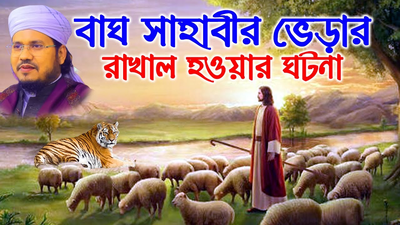 মোজাম্মেল হক সাঈদ । Mozammel Haque Sayed || abdullah tv BAG SAHABI BERAR RAKAL HOAR GATONA