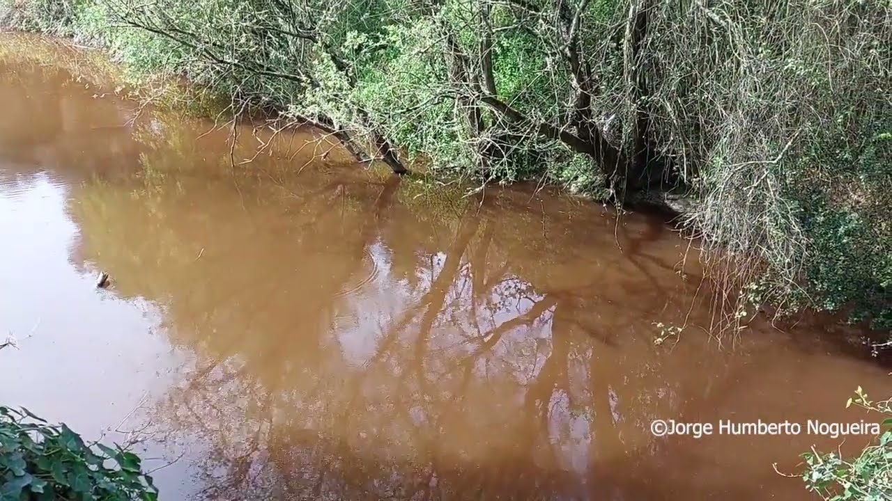 Ex-candidato de Torres Vedras denuncia descarga ilegal no Rio Sizandro