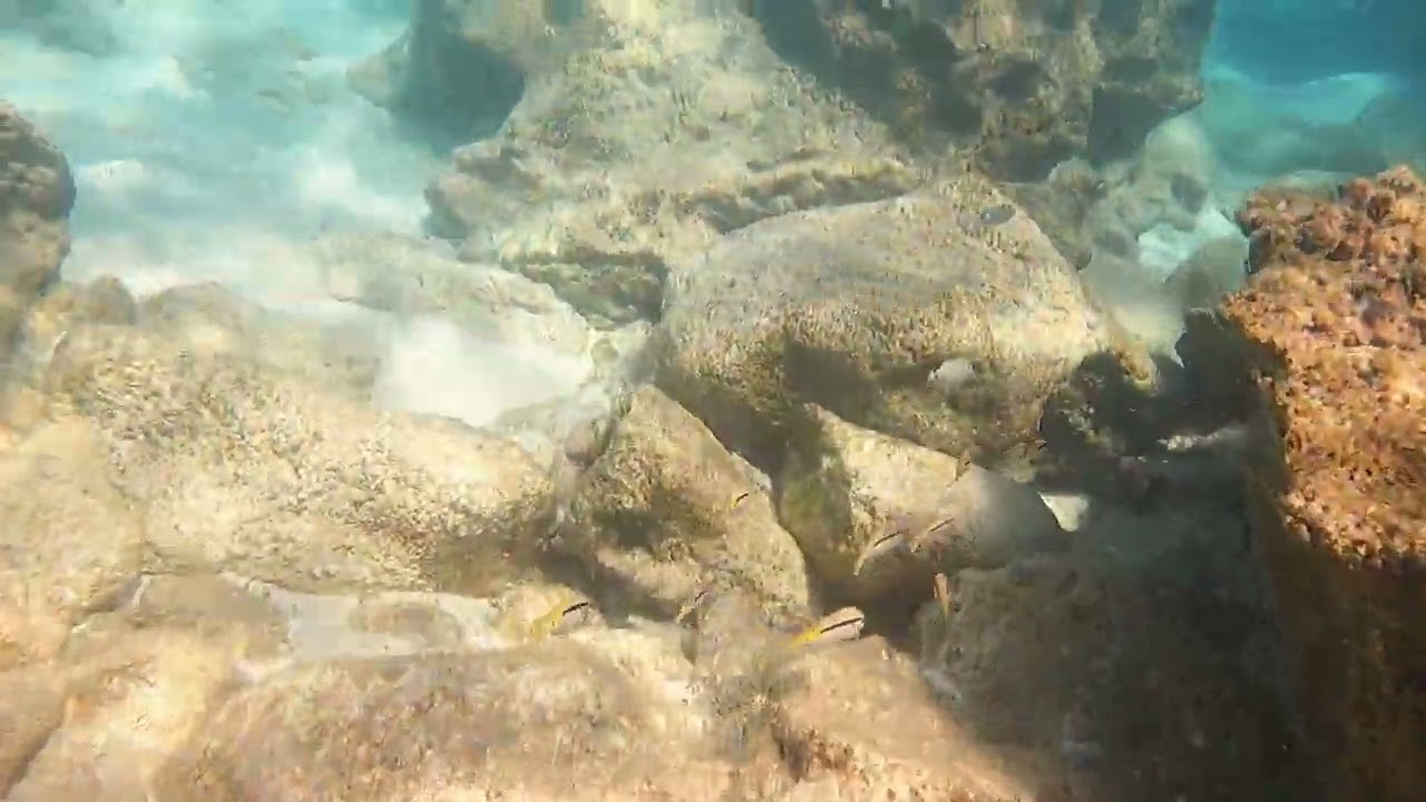 Marsa Matrouh, Egypt#nature #diving 