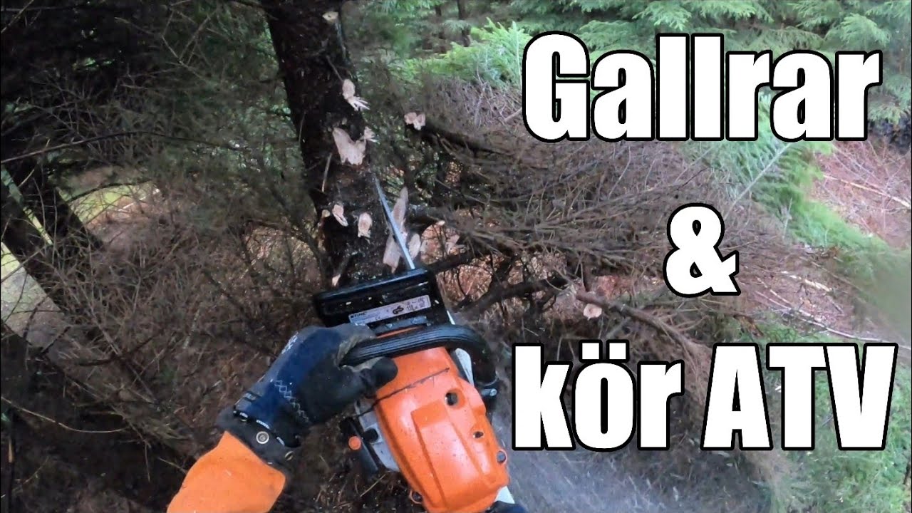 Gallrar och kör hem barrmassaved!