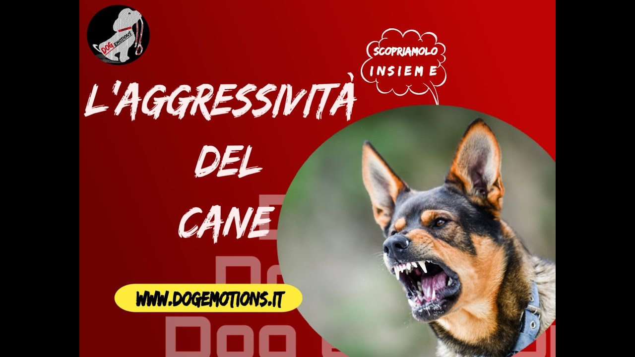 L' Aggressività del Cane