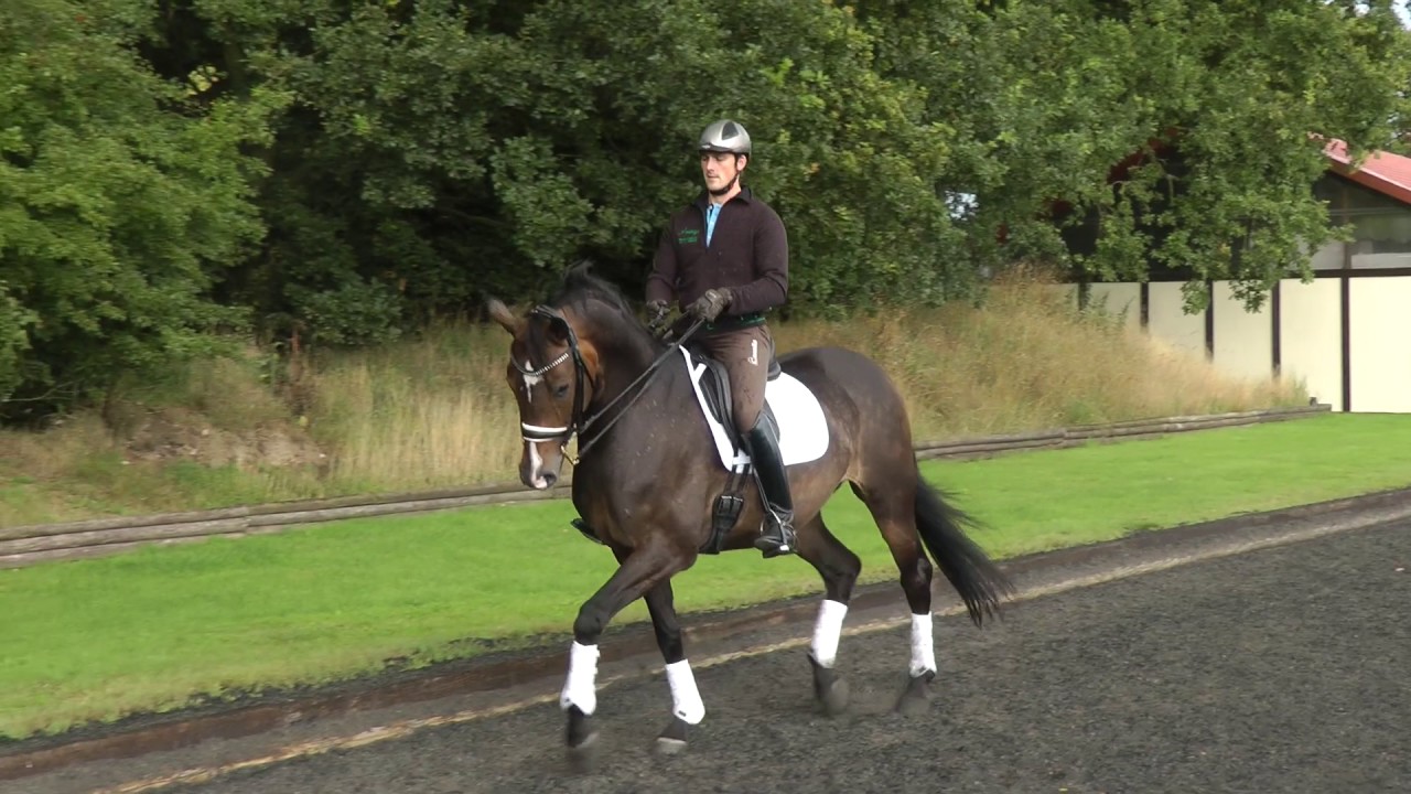 How to ride lateral movements with Michael Eilberg | Horse&Rider