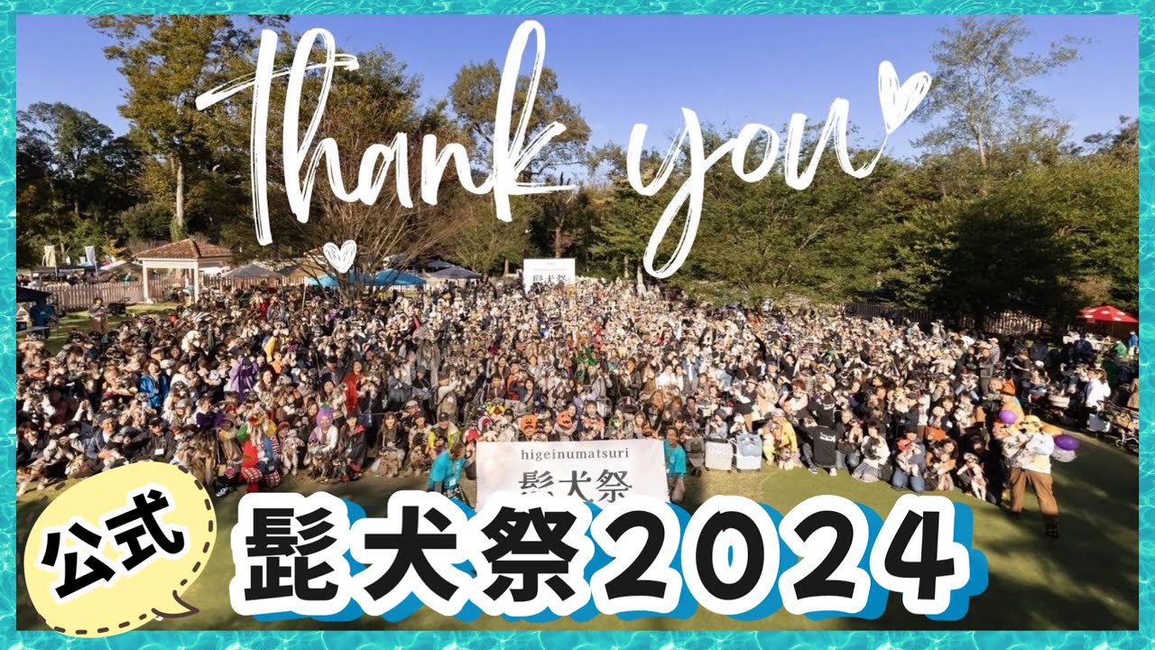 公式【髭犬祭2024】1540頭のミニチュアシュナウザーが送る、笑いと感動の1日｜ドギーズアイランド