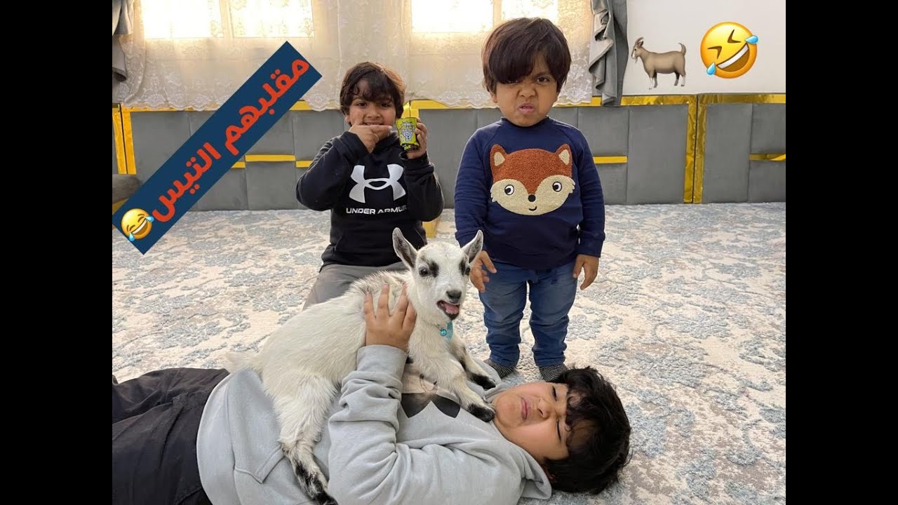التيس بيتر مقلب حمود وحمودي وهم نايمين 🤣