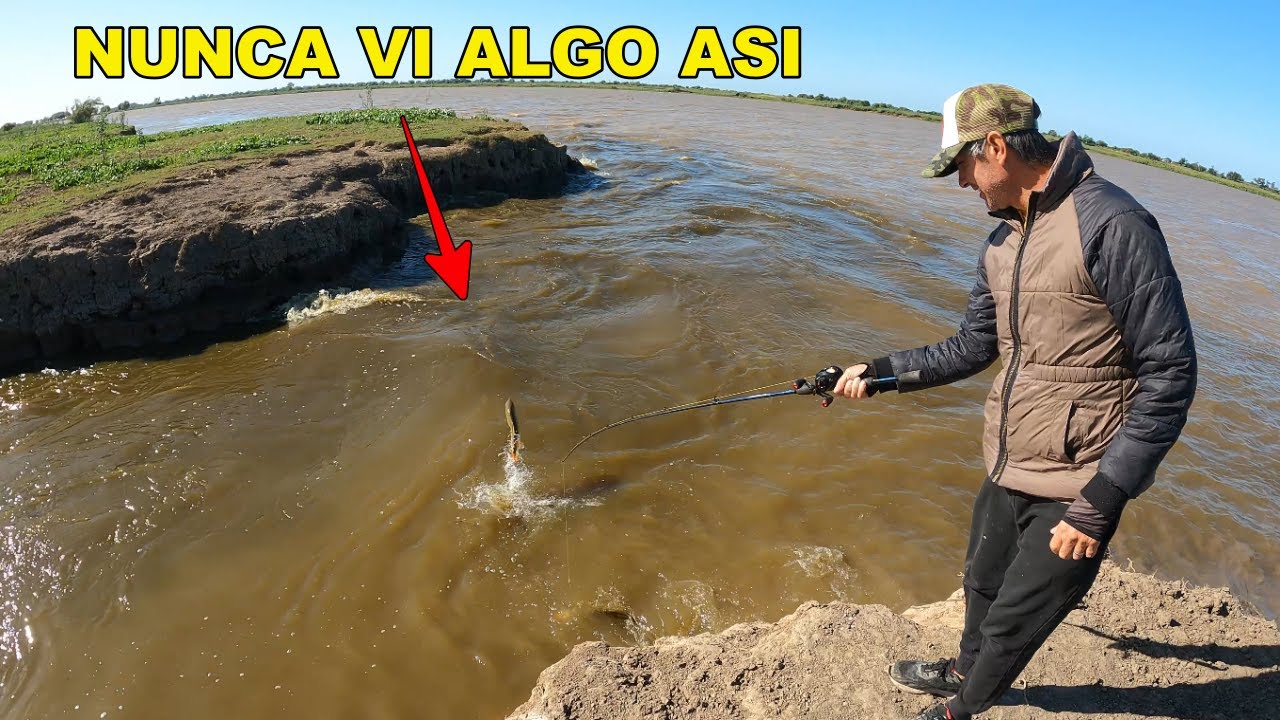 LOCURA DE PESCA EN ESTE LUGAR🎣🔥 NUNCA VIMOS ALGO ASÍ. Muchos peces, amantes por la pesca 2024