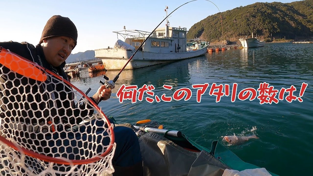 【かかり釣り】リゾート気分で遠出したら、こうなった【崎津】