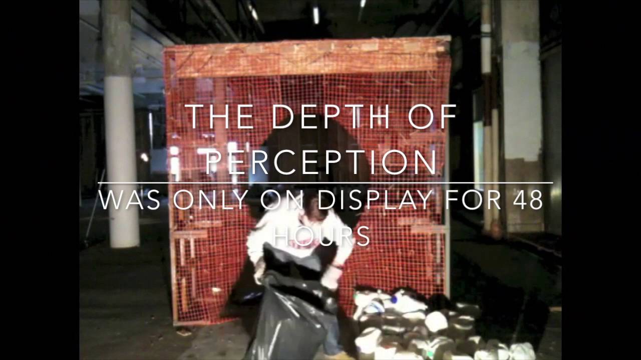 Gareth Fitzgerald Barry - The Depth of Perception (2013)