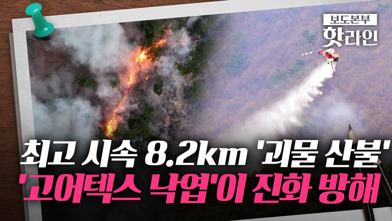 [핫라인] 괴물 산불, 오늘이 '골든타임'···100년 지나야 회복 가능?