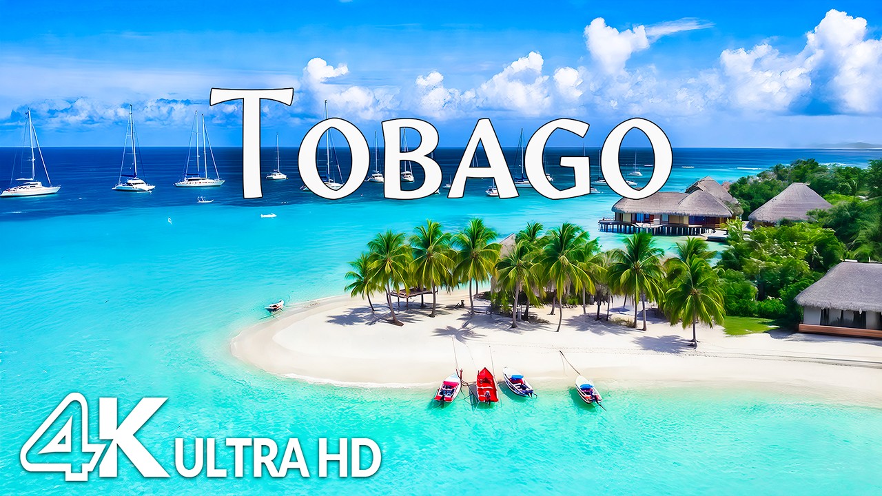 Tobago, Caribbean 4K &ndash; Pigeon Point, Crystal Clear Sea & Tropical Island Paradise | Relaxing Music