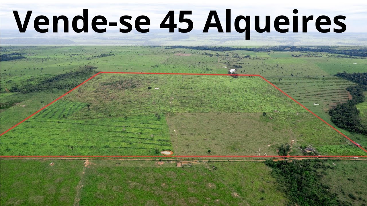 Sítio a venda | 45 Alqueires(108,9 hectares) | Rio Pardo Distrito de Porto Velho/Rondônia