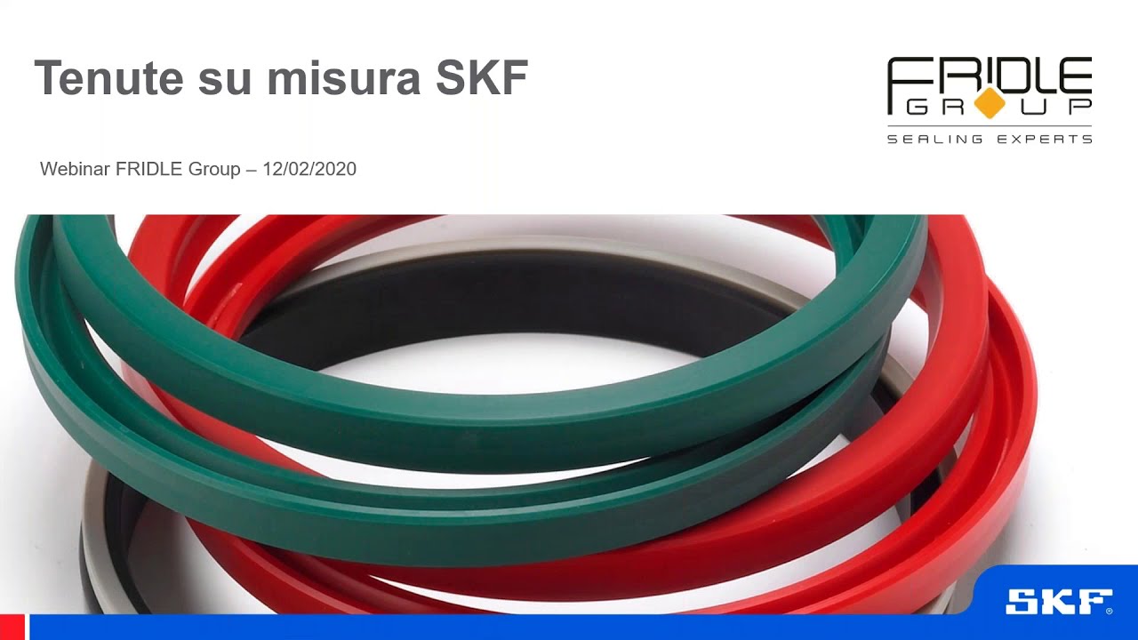 Le tenute su misura di SKF sviluppate e prodotte da FRIDLE Group
