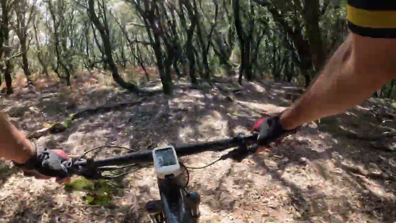 Gorliz …paraíso MTB 😎