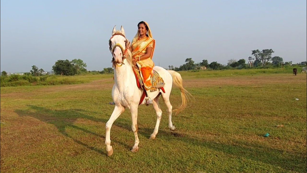 Womans horse riding learning in indian traditional get up