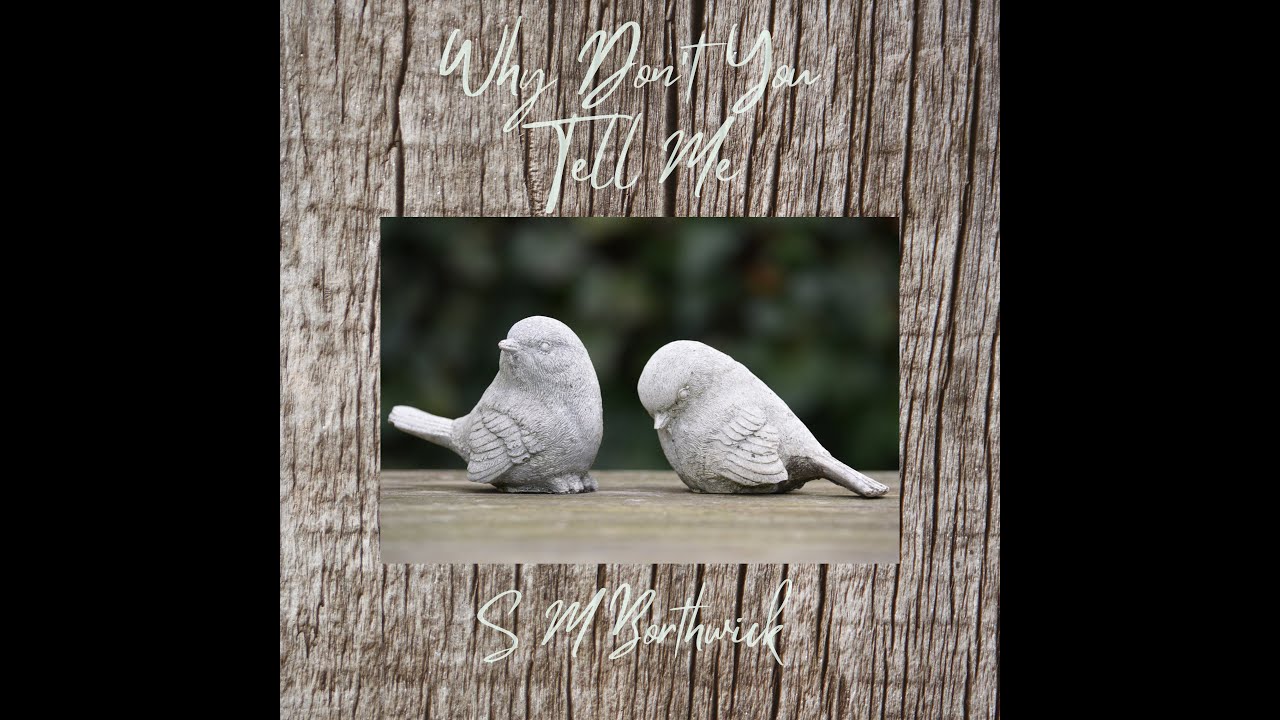 S M Borthwick - Why Don’t You Tell Me (Official Music Video)