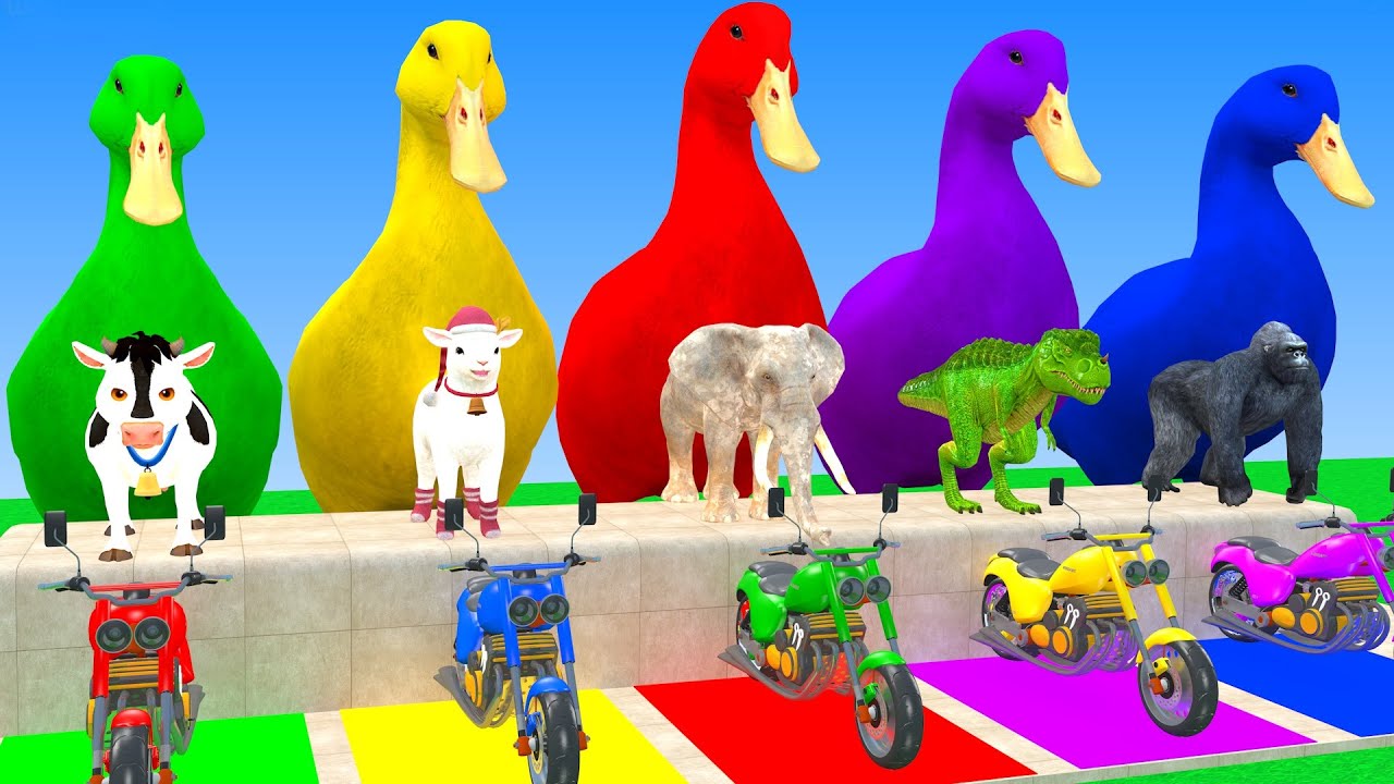 Long Slide Game With Cow Elephant Gorilla Hippopotamus Tiger 3d Animal Game Funny 3d Animals