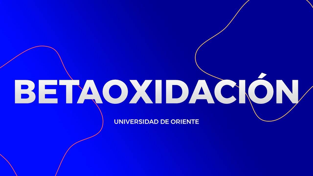 BETAOXIDACI&Oacute;N - Universidad de Oriente Puebla